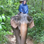Elefantenritt durch den matschigen Dschungel